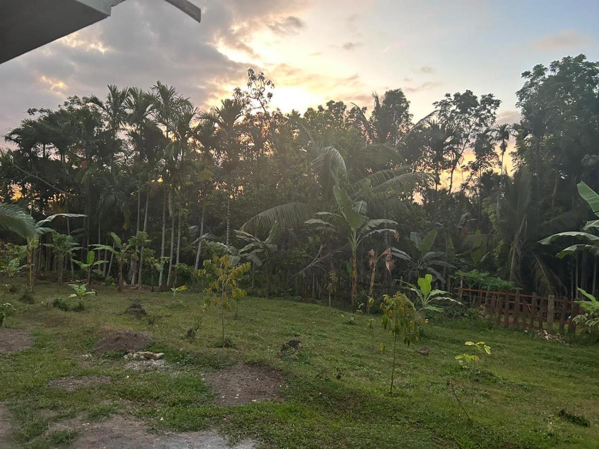 Senaru Garden Homestay ภายนอก รูปภาพ